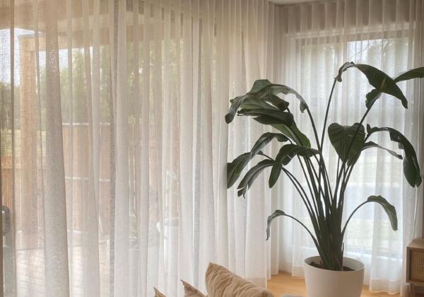 S-fold sheer curtains installed in a Geelong home.